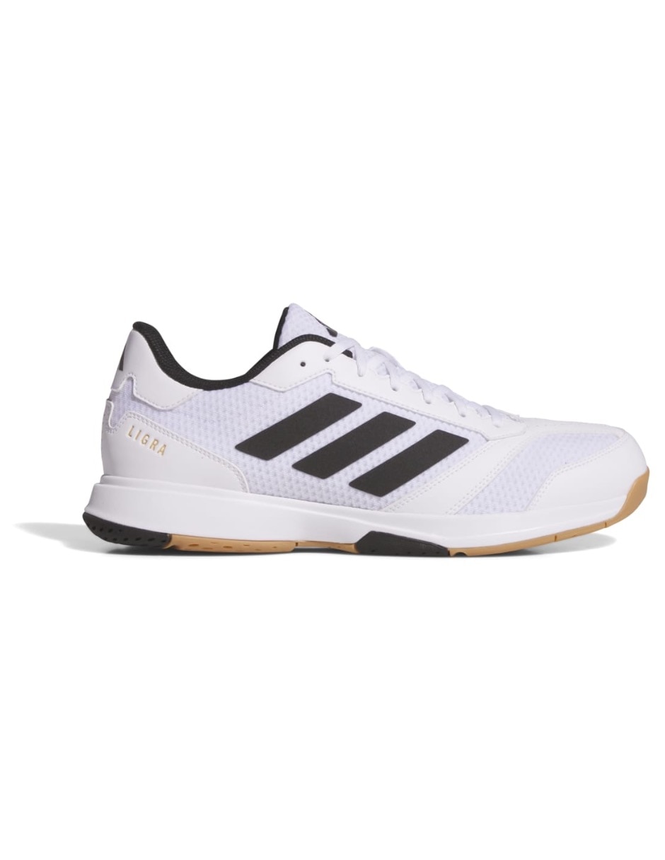 Tenis para voleibol Ligra 8 M de hombre