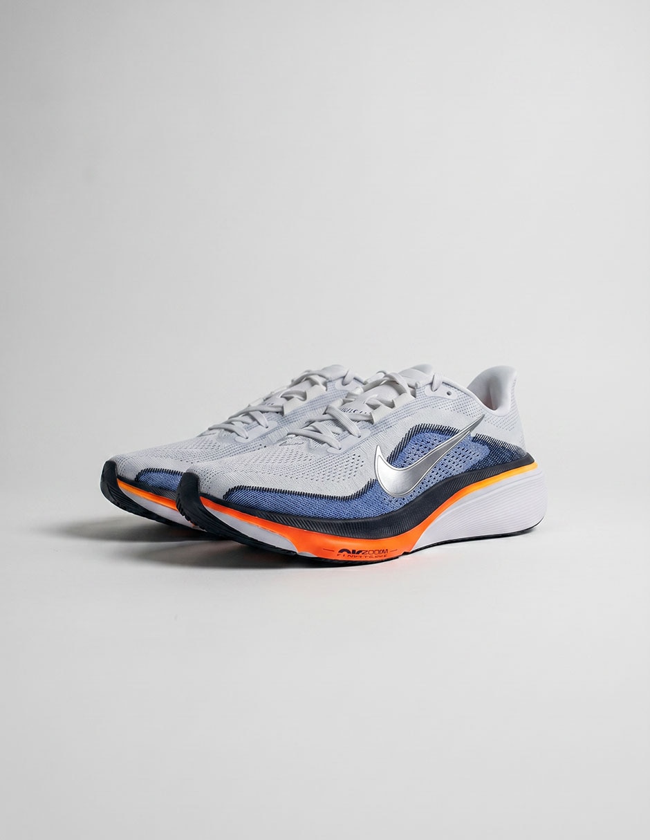 Tenis pegasus 42 para correr nike de hombre