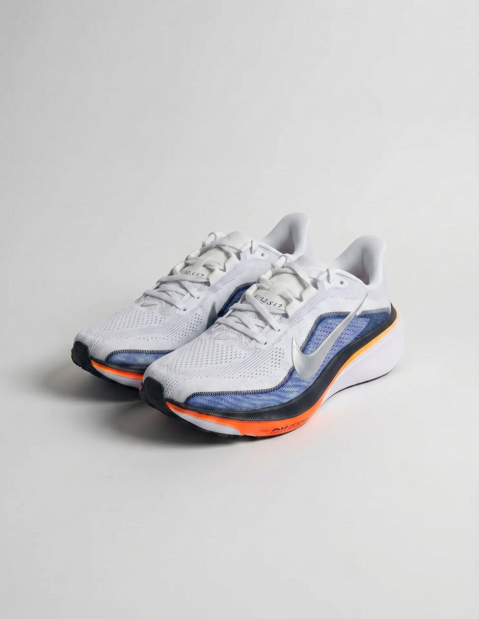 Tenis pegasus 42 para correr nike de hombre